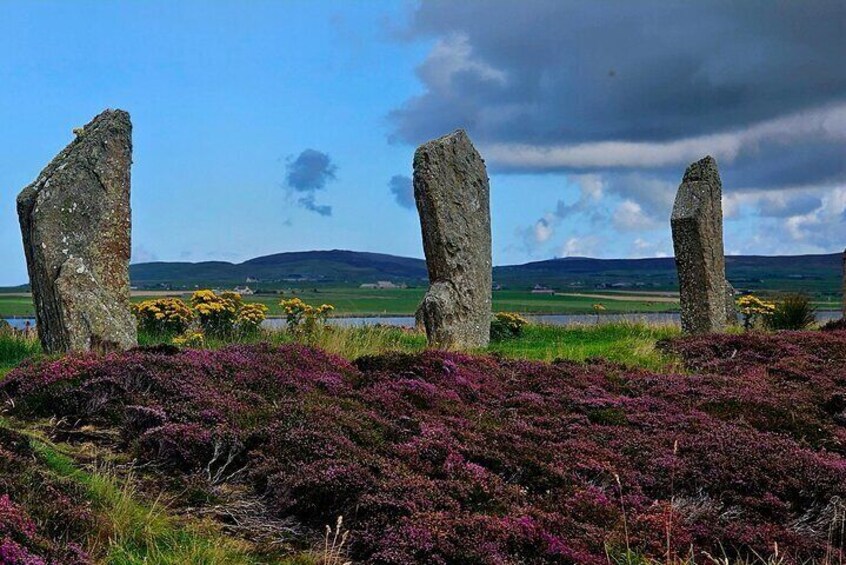 Scapa Taxi Tours