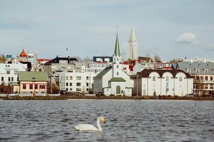 Private Introduction To Iceland Walk Tour