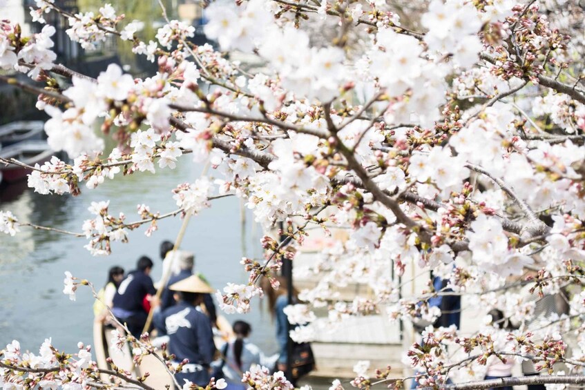 Picture 4 for Activity Fukuoka: Yanagawa Kimono Rental, River Cruise, and Lunch