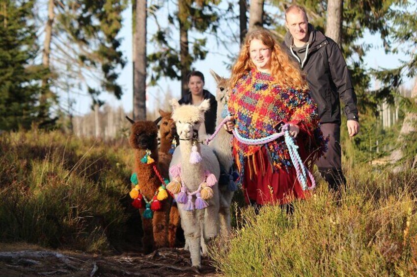 Alpaca hike at Richmond Castle