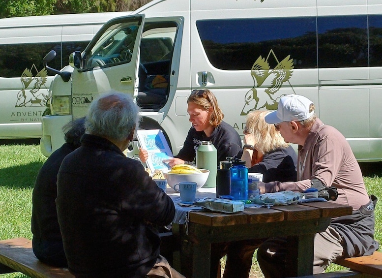 Picture 1 for Activity Lyttelton: Shore Excursion, Visit Akaroa, Small Group Tour