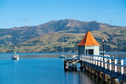 Lyttelton: Shore Excursion, Akaroa, Small Group Tour