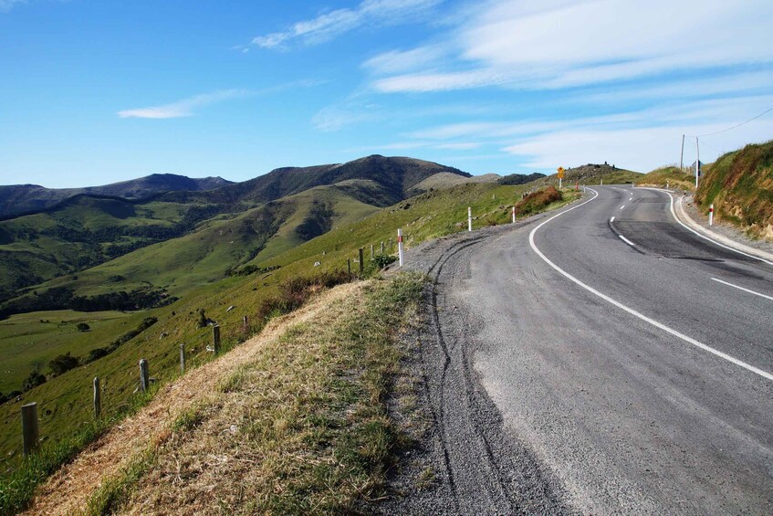 Picture 7 for Activity Lyttelton: Shore Excursion, Akaroa, Small Group Tour