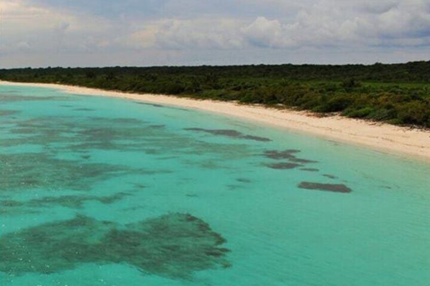 Spotted rays gliding through the water at Inah Reef