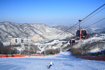 From Seoul: Vivaldi Park Ski World with Nami Island Day Tour