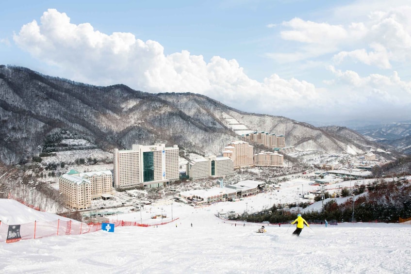 Picture 3 for Activity From Seoul: Vivaldi Park Ski World with Nami Island Day Tour