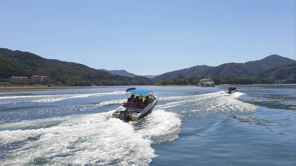 Picture 8 for Activity From Seoul: Vivaldi Park Ski World with Nami Island Day Tour