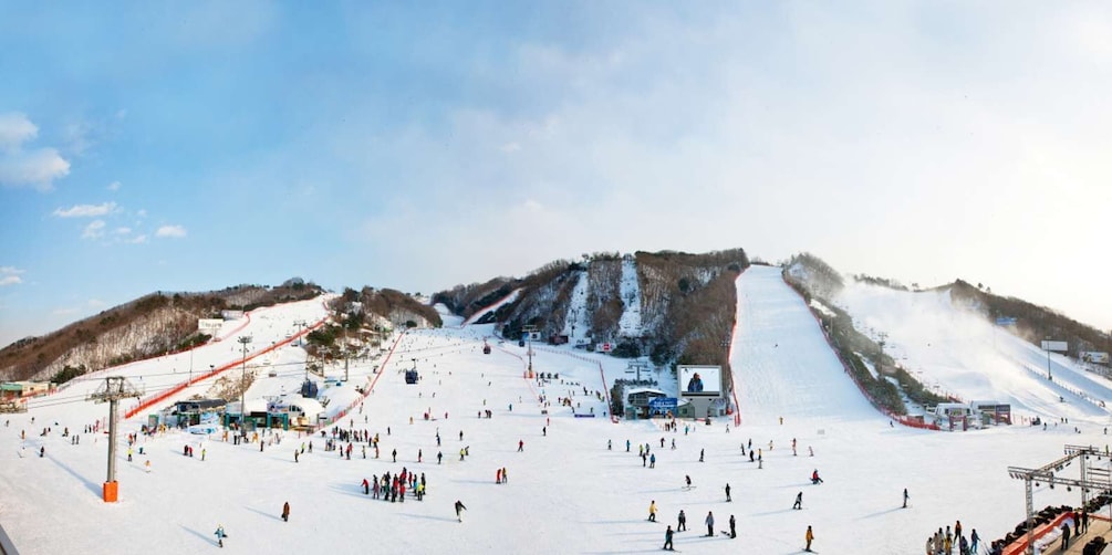 Picture 1 for Activity From Seoul: Vivaldi Park Ski World with Nami Island Day Tour