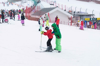 Seoul: Jisan Forest Winter Ski Day Tour with Basic Lesson