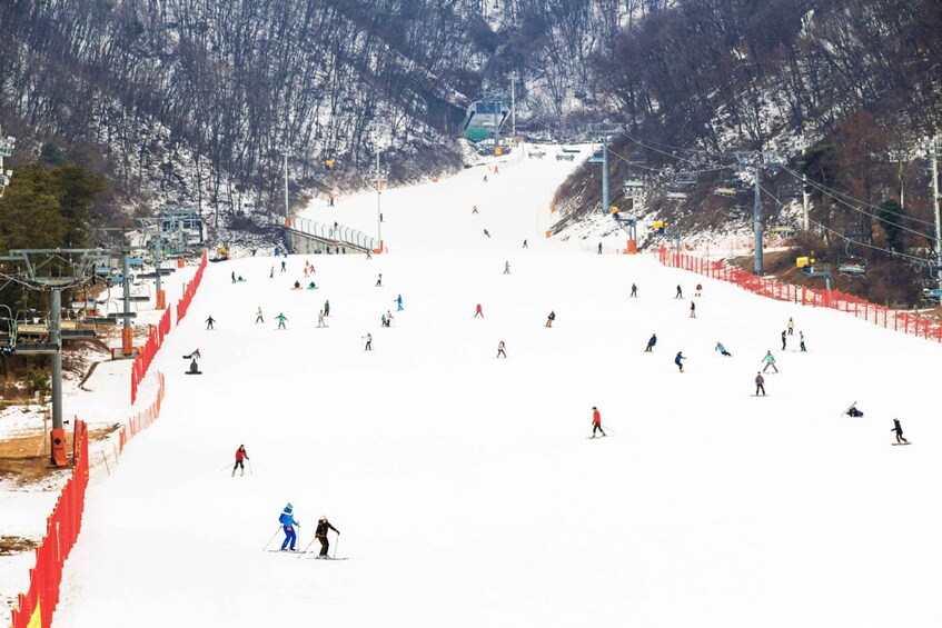 Picture 1 for Activity Seoul: Jisan Forest Winter Ski Day Tour