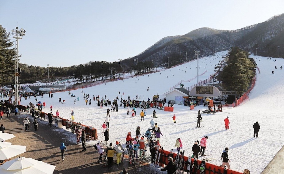 Picture 5 for Activity Seoul: Jisan Forest Winter Ski Day Tour