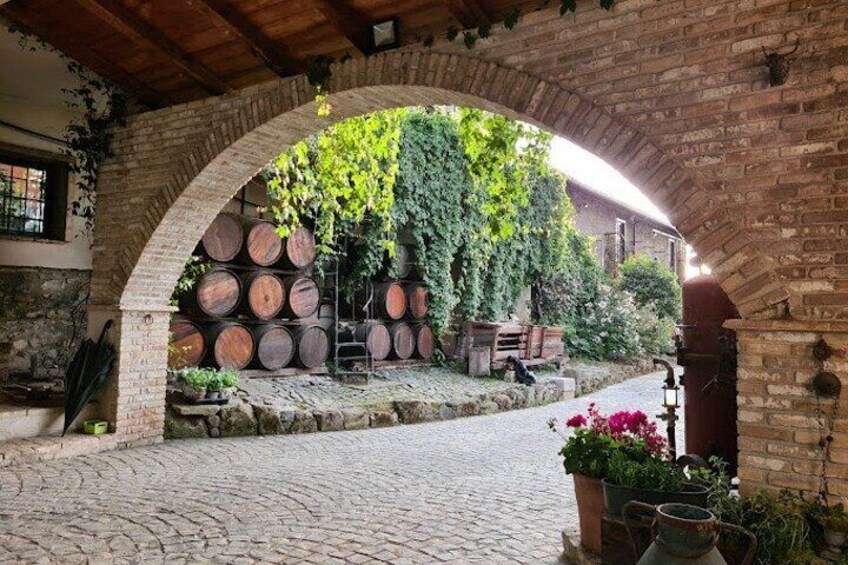 From Rome: Wine tasting at the oldest winery in Castelli Romani