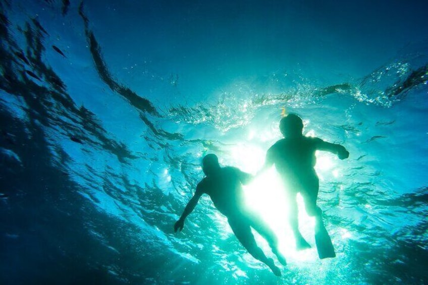 Snorkeling Catalina Island From Punta Cana