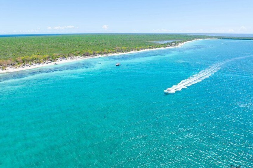 Snorkeling Catalina Island From Punta Cana