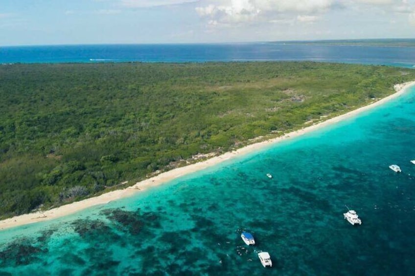 Snorkeling Catalina Island From Punta Cana