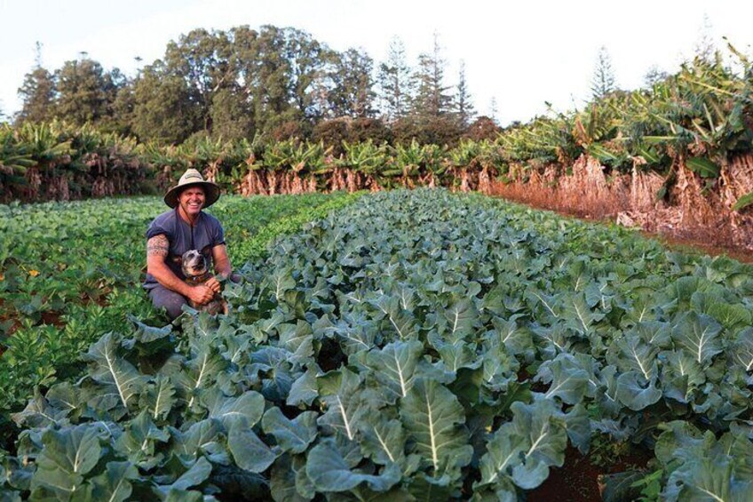 Baunti’s Farm and Industry Tour in Norfolk Island