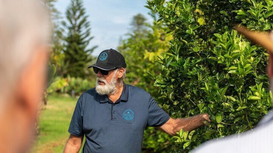Baunti’s Farm and Industry Tour in Norfolk Island