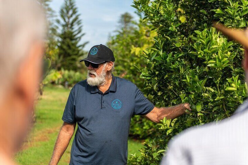 Baunti’s Farm and Industry Tour in Norfolk Island