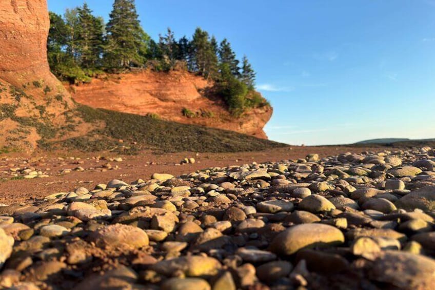 Private Guided Fundy Tour in Saint John