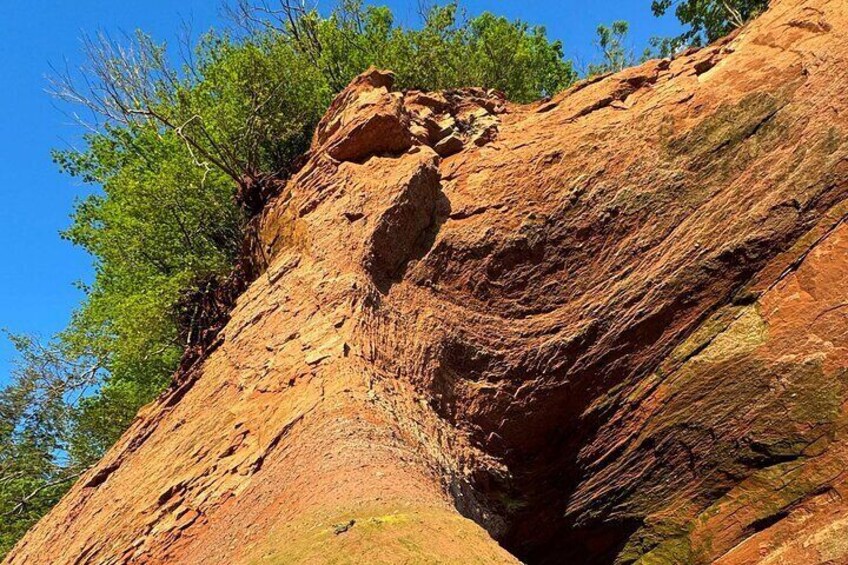 Private Guided Fundy Tour in Saint John