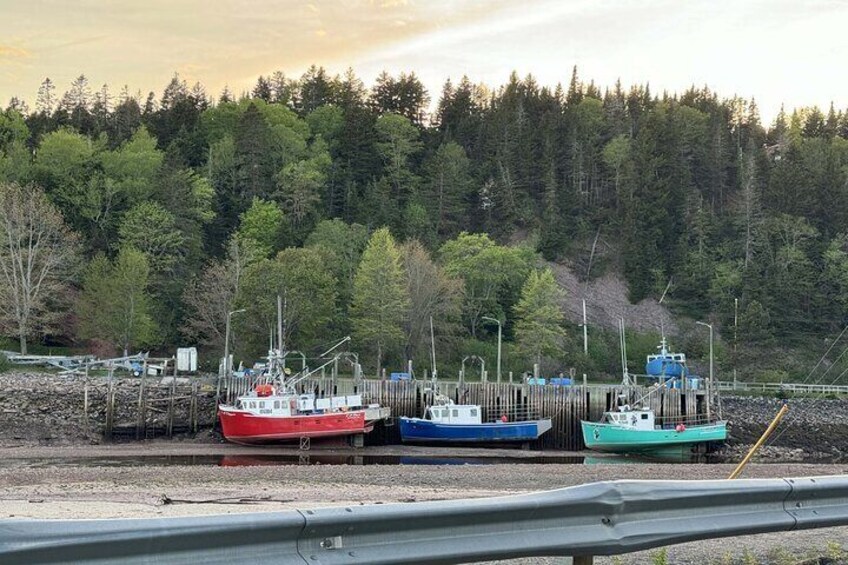 Private Guided Fundy Tour in Saint John