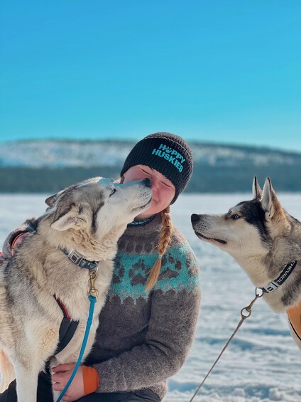 Picture 2 for Activity Ivalo: Responsible Husky Safari at Happy Huskies