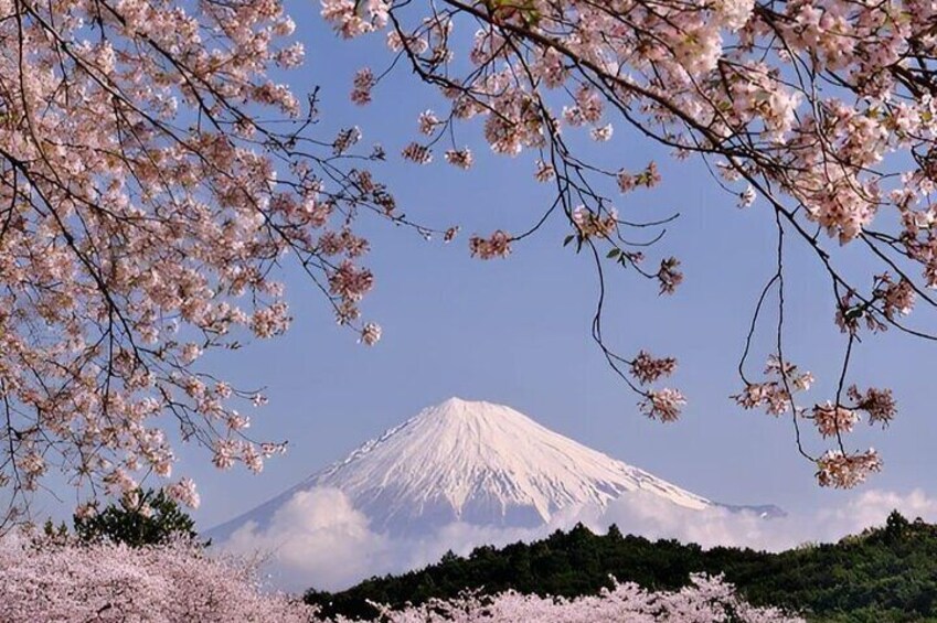 Mt Fuji Private Day Tour from Tokyo by Car or Van