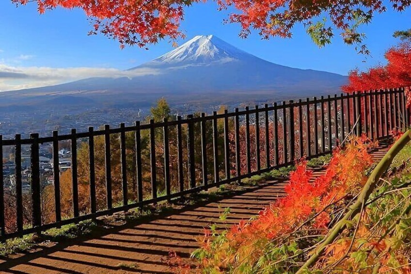 Mt Fuji Private Day Tour from Tokyo by Car or Van