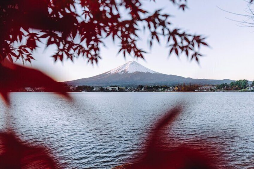 Customizable Private Tour in Mt Fuji from Tokyo by Car or Van