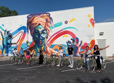 St. Petersburg: Awesome Mural Biking Tour