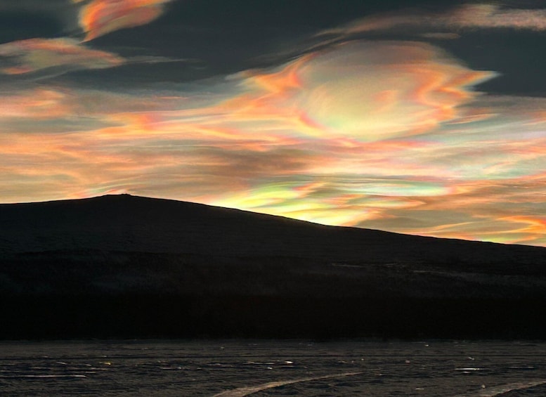 Picture 8 for Activity Kiruna: Husky Memory Mindful Dog Sled Tour