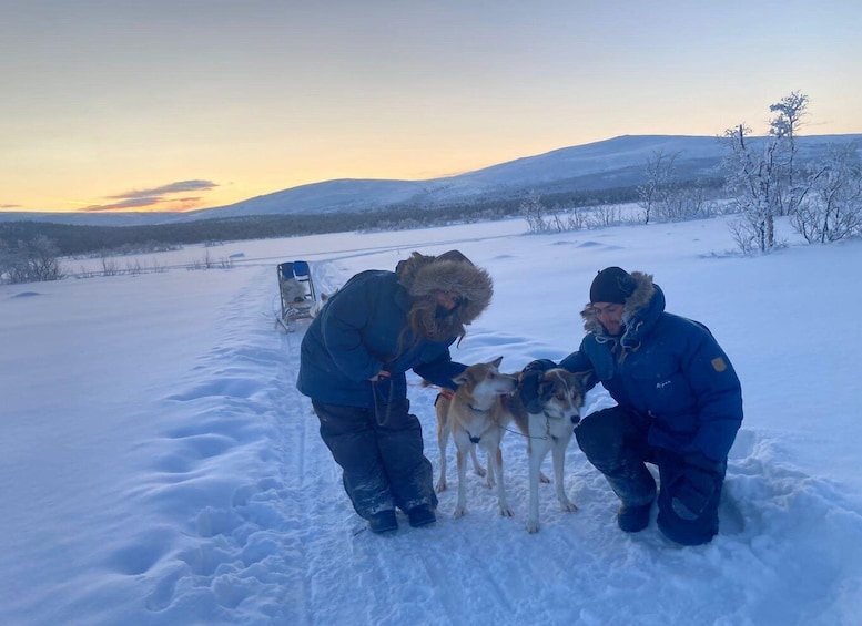 Picture 4 for Activity Kiruna: Husky Memory Mindful Dog Sled Tour