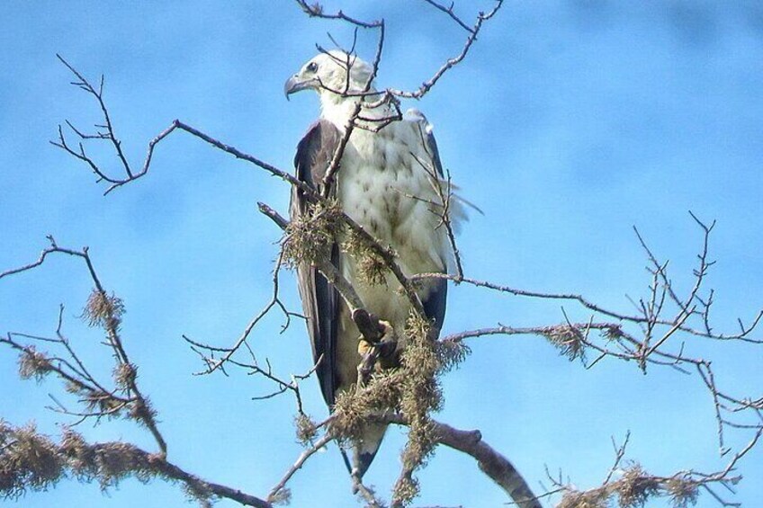 Yala National Park Morning Safari Tours