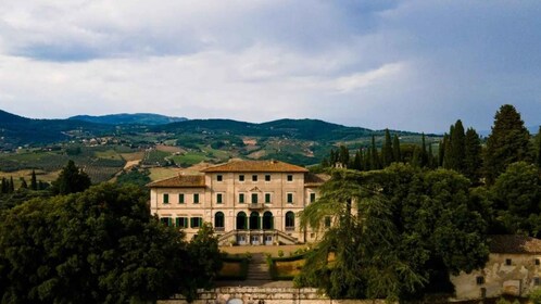 Explore Elegance: Savour 3 Exquisite Wines at Tenuta Bossi