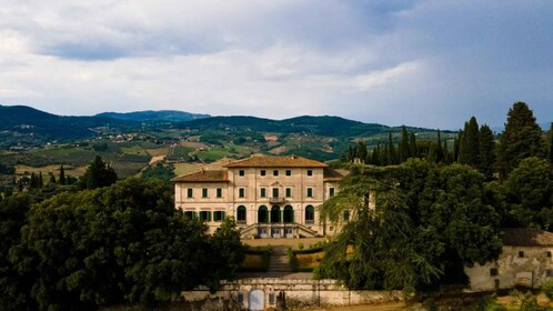 Explore Elegance: Savour 3 Exquisite Wines at Tenuta Bossi