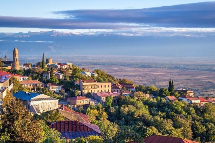 Bodbe Sighnaghi and Telavi Discovery Tour