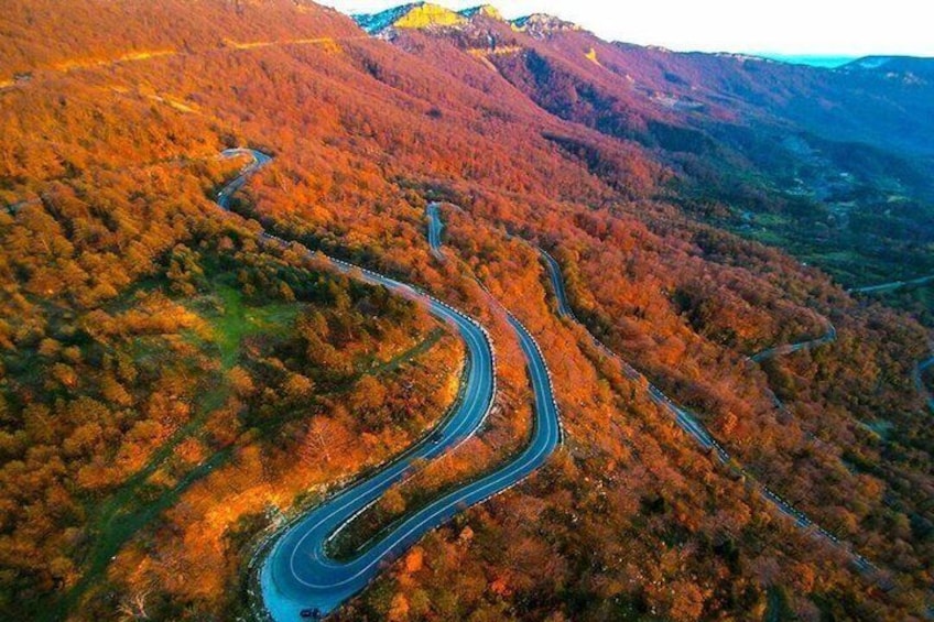 Bodbe Sighnaghi and Telavi Discovery Tour