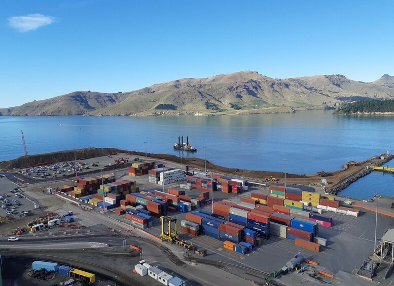 Picture 9 for Activity Lyttelton: Shore Excursion, Godley Head, Small Group Tour