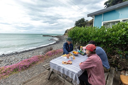 Lyttelton: Shore Excursion, Godley Head, Small Group Tour