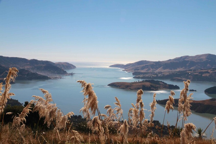 Picture 5 for Activity Lyttelton: Shore Excursion, Packhorse Hut, Guided walk