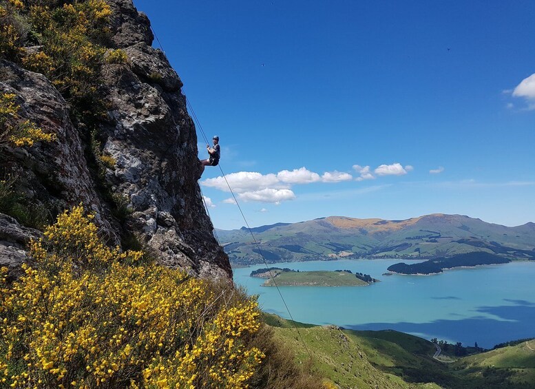 Picture 1 for Activity Lyttelton: Shore Excursion, Rock Climbing, Small Group Tour