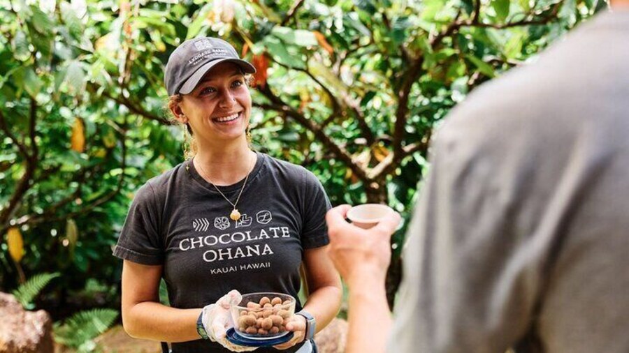 Kauai Chocolate Farm Tasting Tour