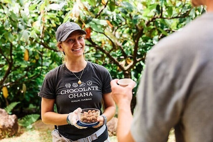 Visita guiada con degustación de chocolate en la granja de Kauai