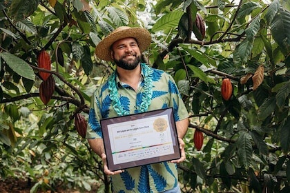 Kauai Chocolate Farm Tasting Tour