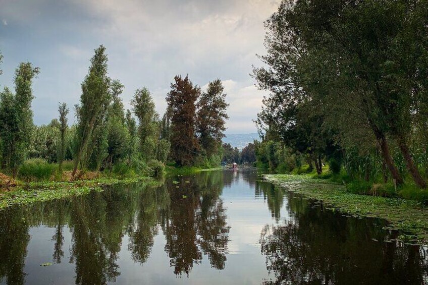 Sunrise in Xochimilco 
