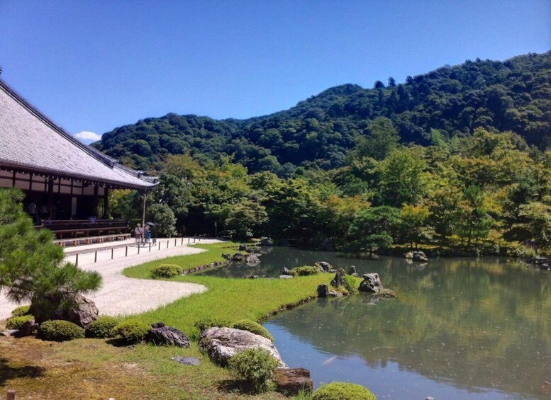 Picture 4 for Activity From Osaka/Kyoto: Kyoto & Nara Day Trip with Lunch