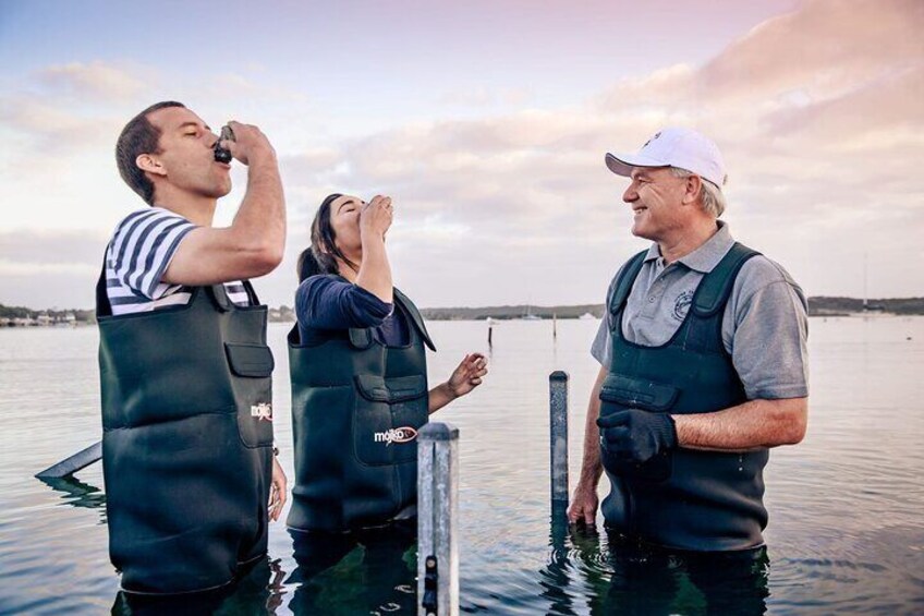 Meet the oyster farmer himself