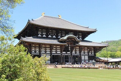 Nara Day Trip from Osaka with a Licensed Guide