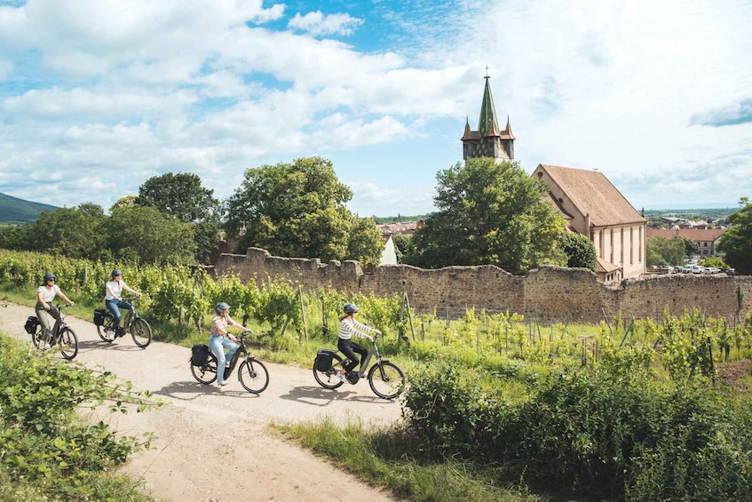 Sélestat: Bike Tour on the Alsatian Wine Road