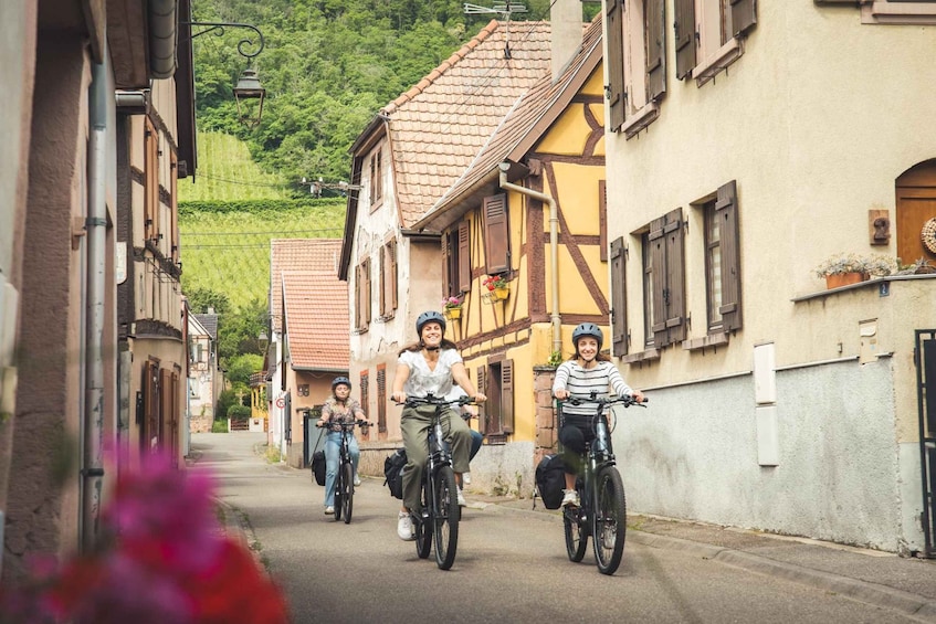 Picture 6 for Activity Sélestat: Bike Tour on the Alsatian Wine Road